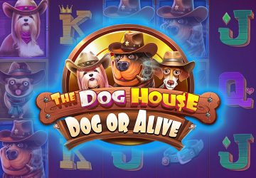 Игра The Dog House Dog Or Alive в UP X Casino